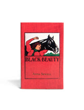 Load image into Gallery viewer, Banned Books matchbox set