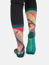 Load image into Gallery viewer, Harry Potter and the Chamber of Secrets socks
